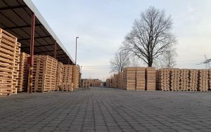 woodmateo_galeria_glowna_002a